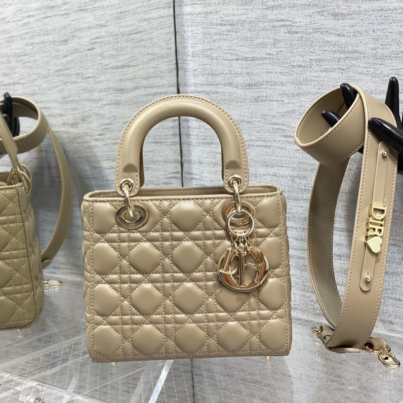 Dior Medium Lady Dior Bag - everydesigner