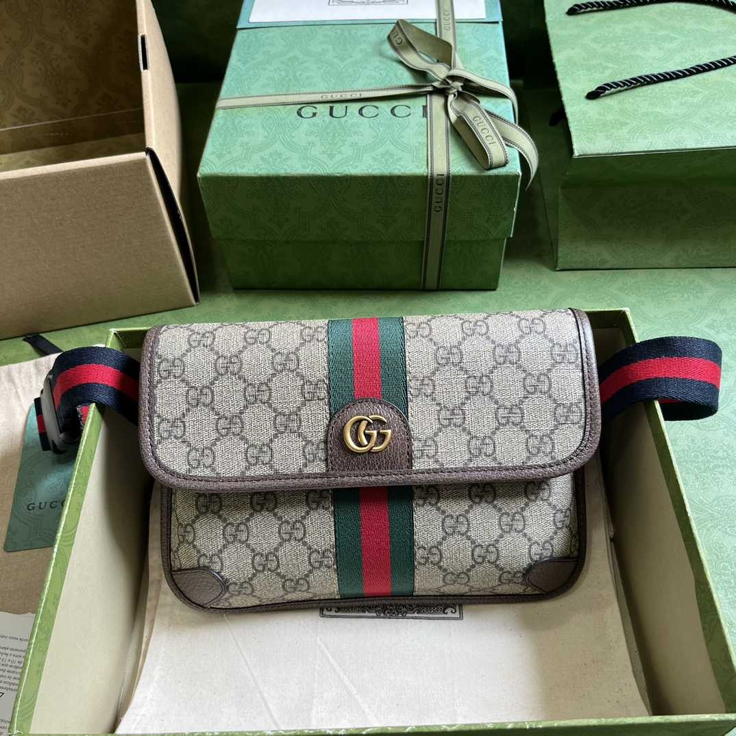 Gucci Ophidia GG Small Belt Bag - everydesigner