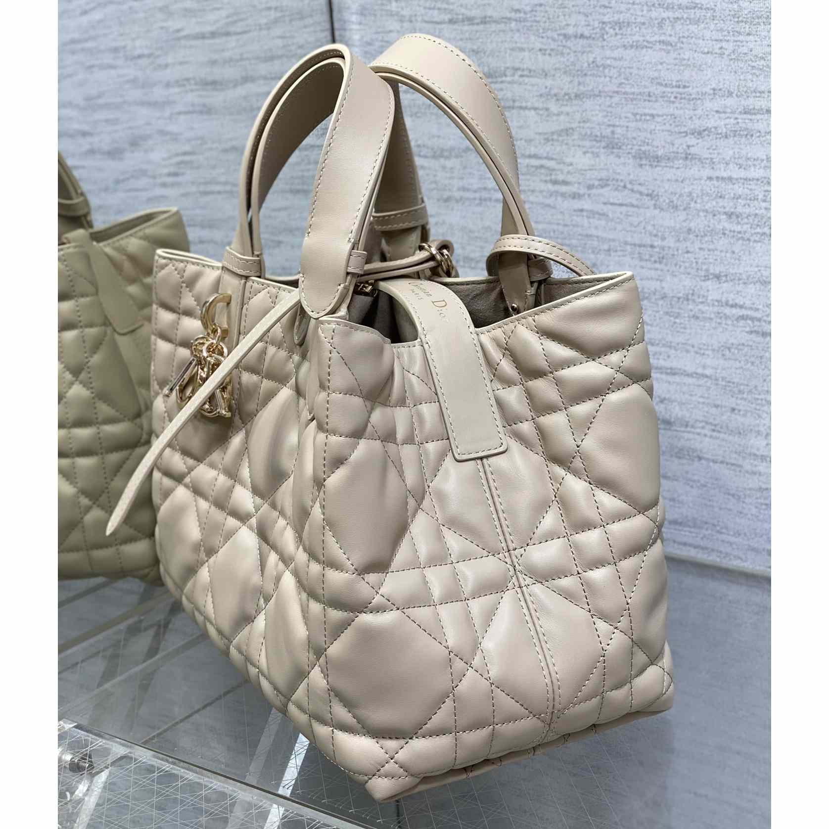 Dior Medium Dior Toujours Bag - everydesigner