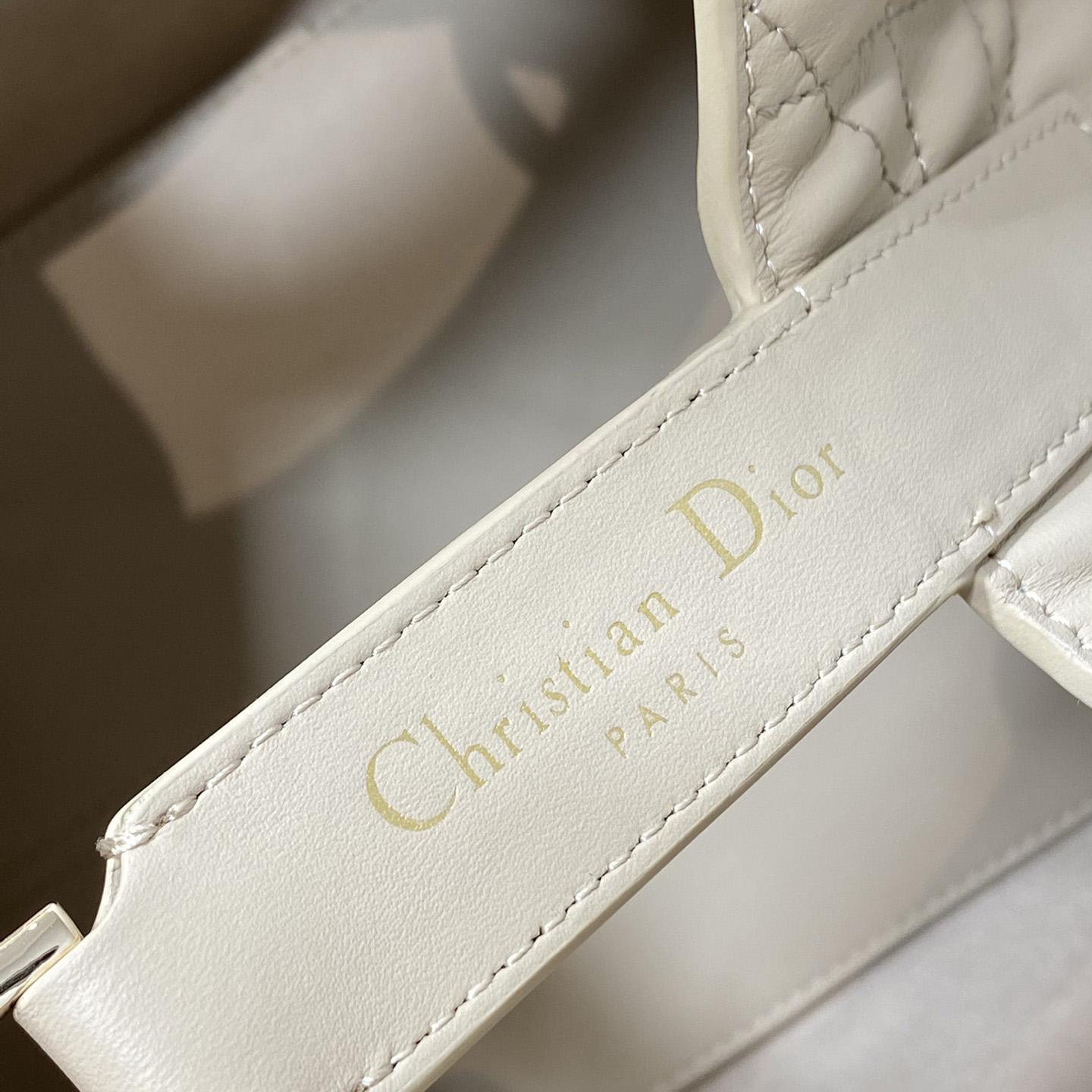 Dior Medium Dior Toujours Bag - everydesigner