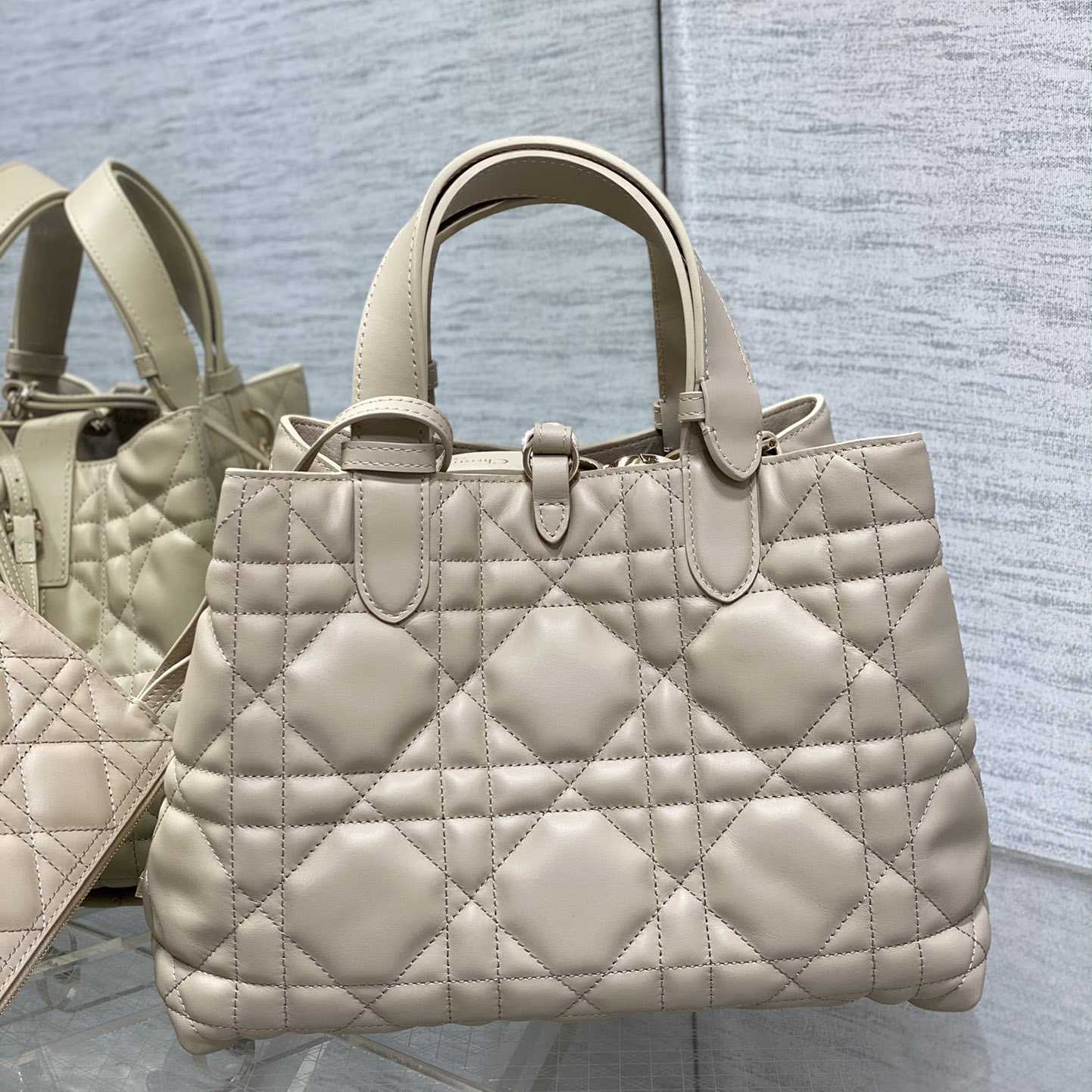 Dior Medium Dior Toujours Bag - everydesigner