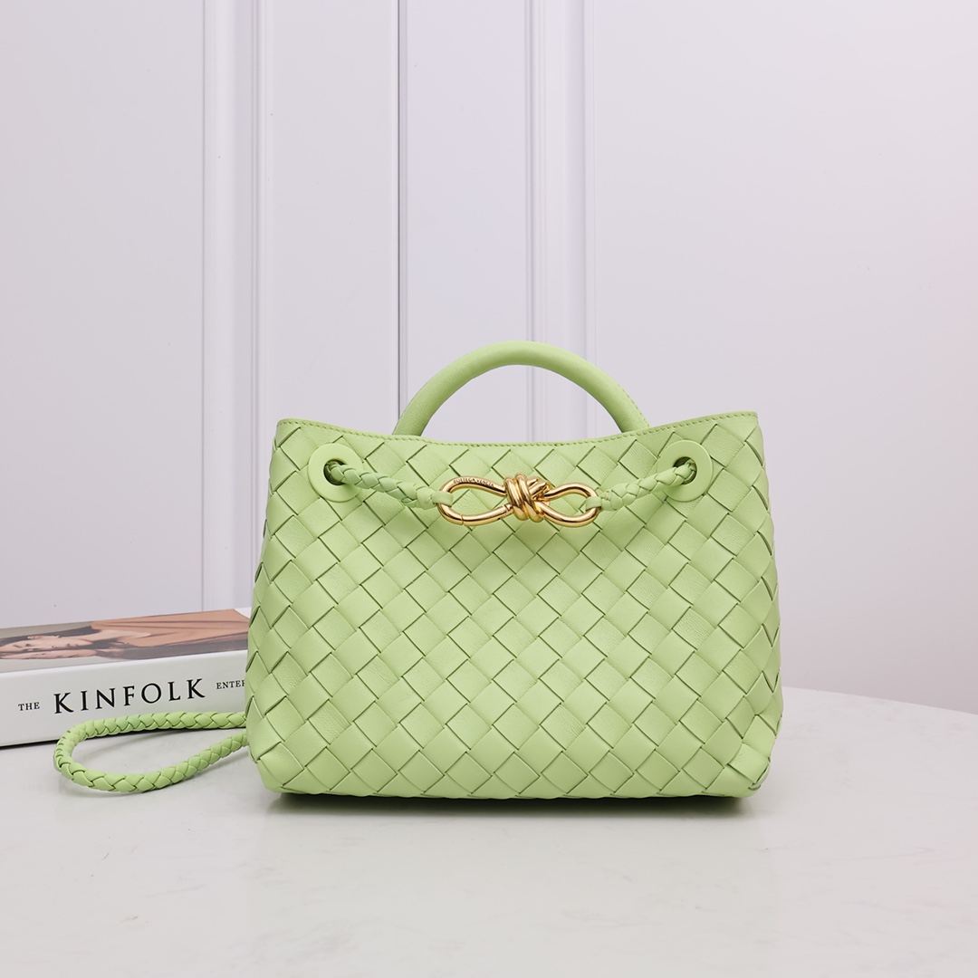 Bottega Veneta Small Andiamo - everydesigner