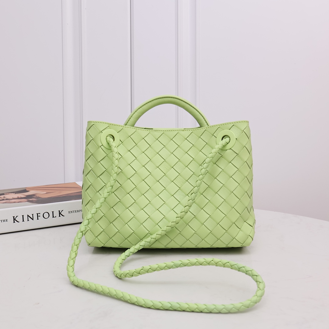 Bottega Veneta Small Andiamo - everydesigner