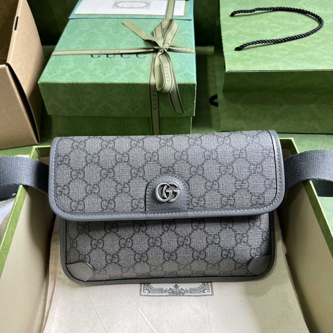 Gucci Ophidia GG Small Belt Bag - everydesigner