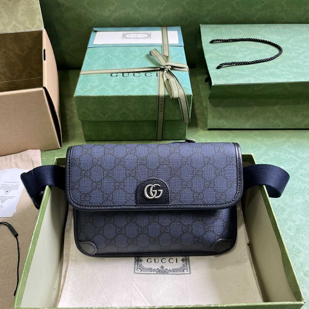 Gucci Ophidia GG Small Belt Bag (23.9x 17x 3.6cm) - everydesigner