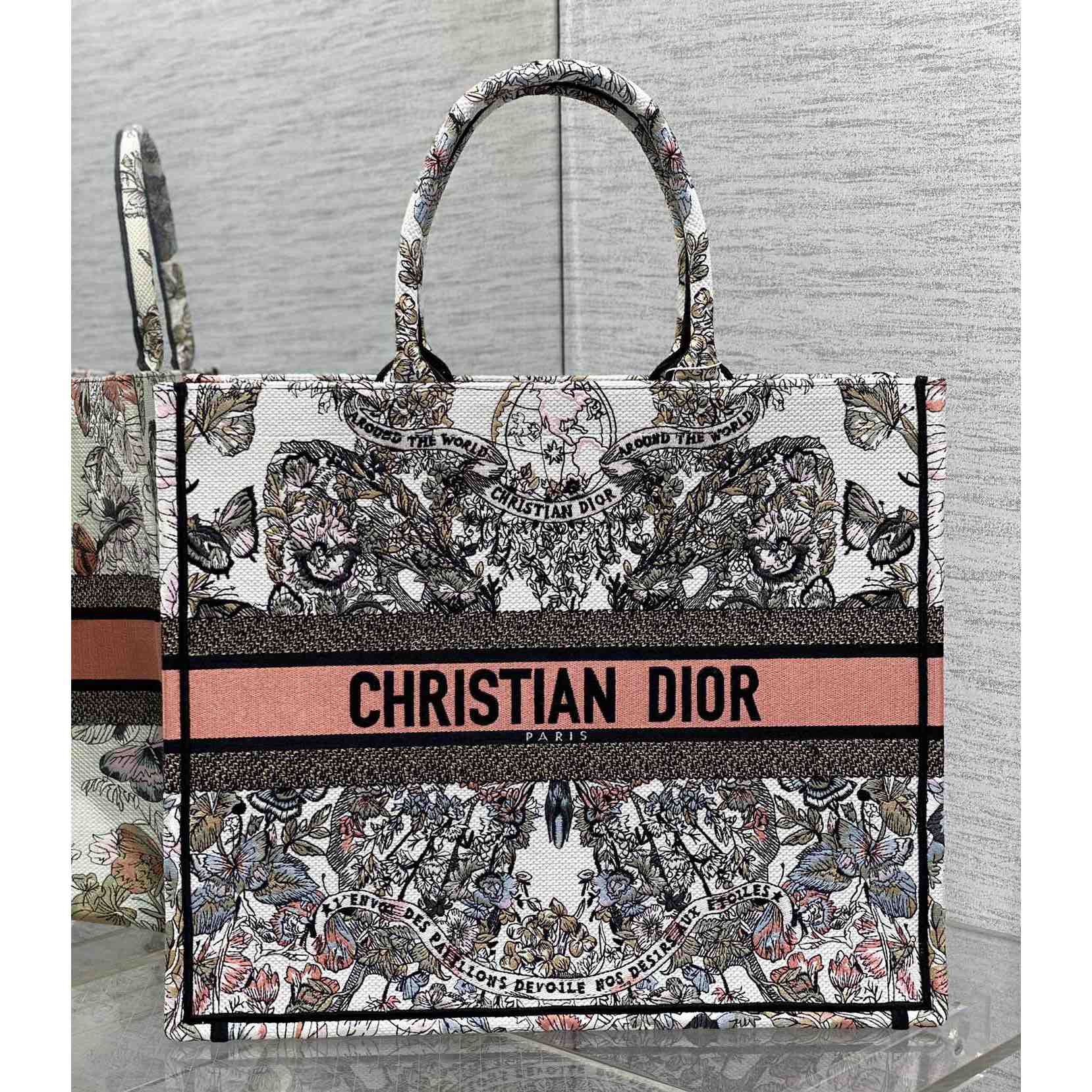 Dior Large Dior Book Tote - everydesigner