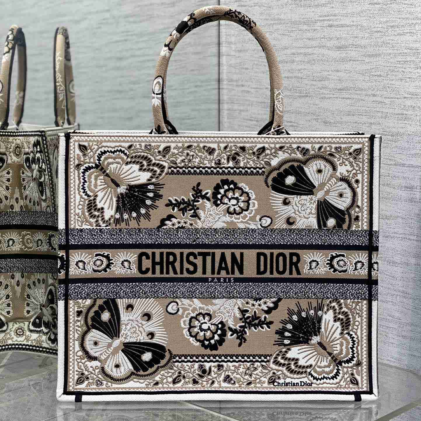 Dior Large Dior Book Tote - everydesigner