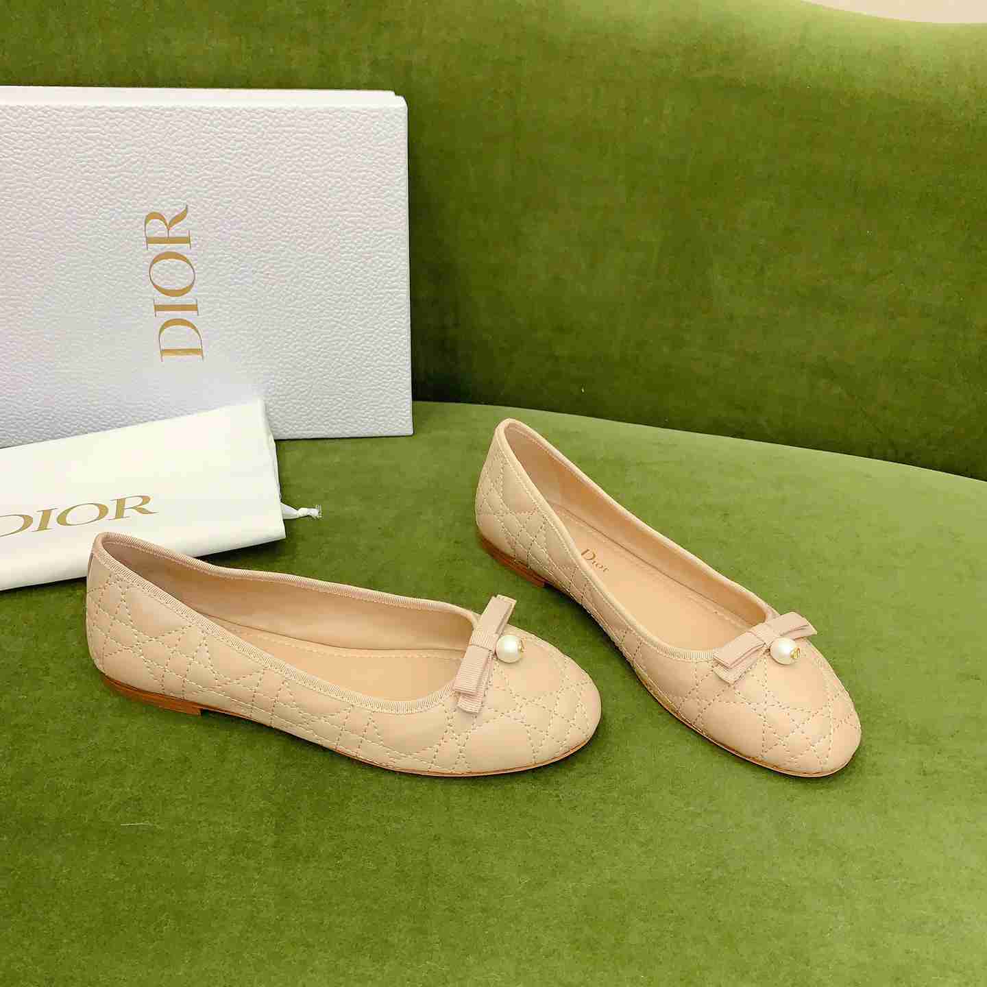 Dior Ballet Flat  - everydesigner