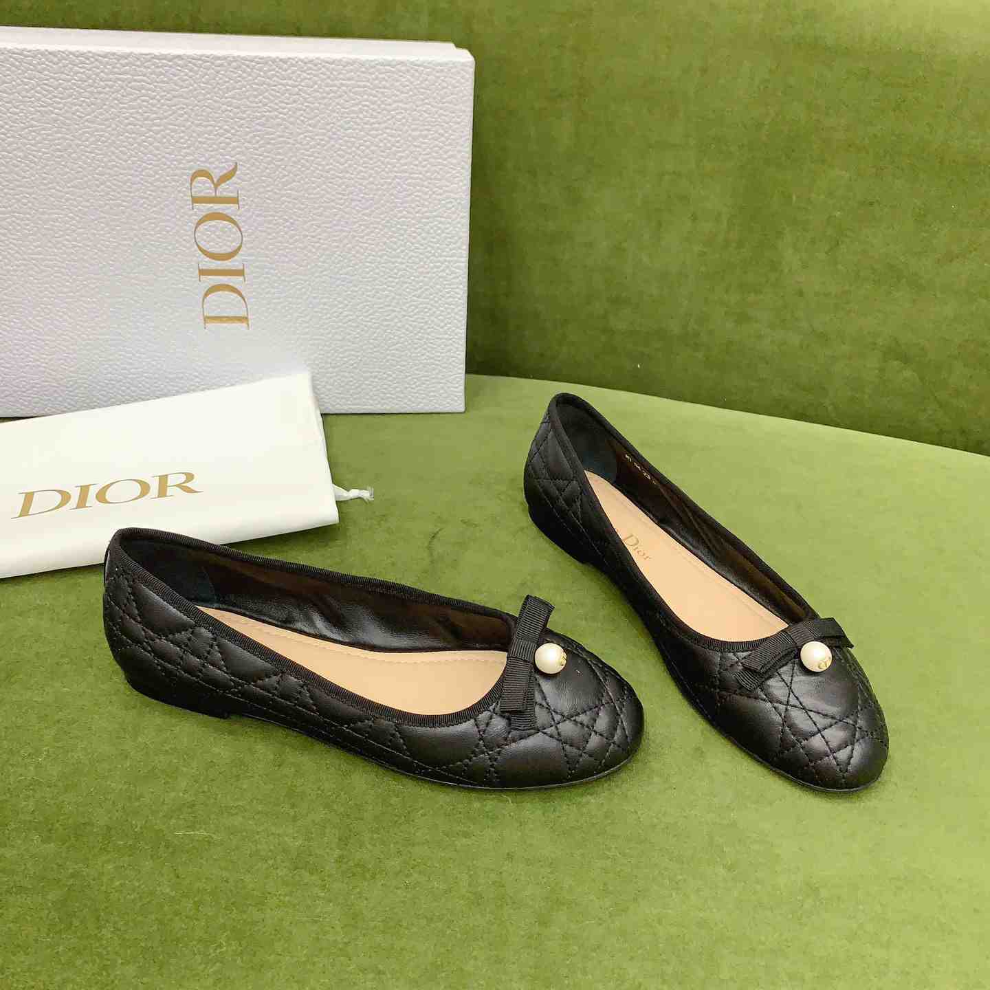 Dior Ballet Flat  - everydesigner