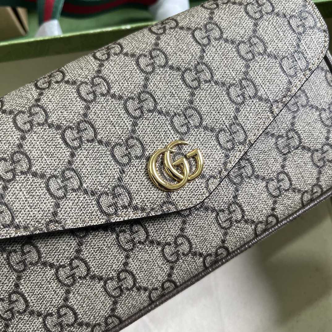 Gucci Ophidia Mini Bag  - everydesigner