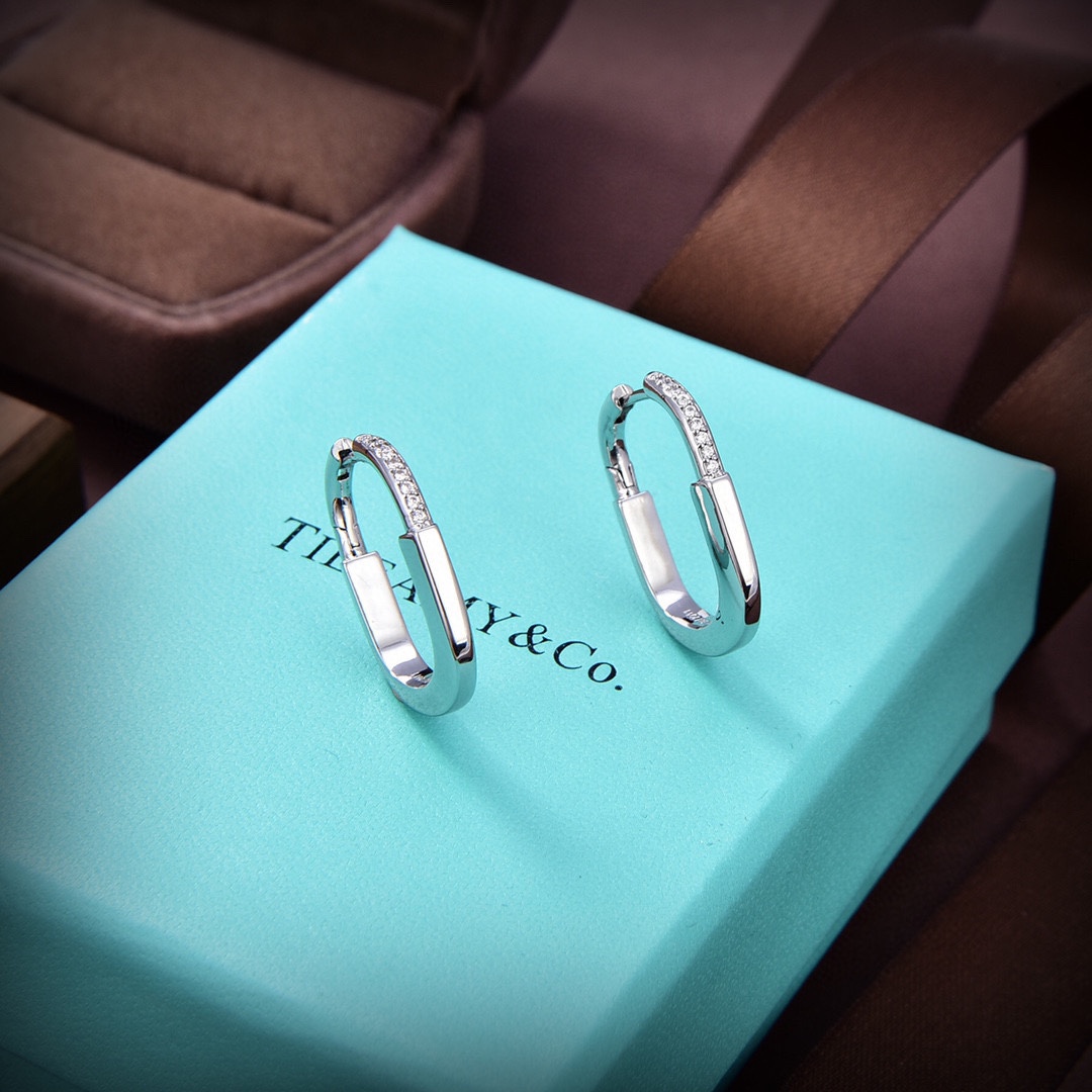 Tiffany&CO Earrings - everydesigner