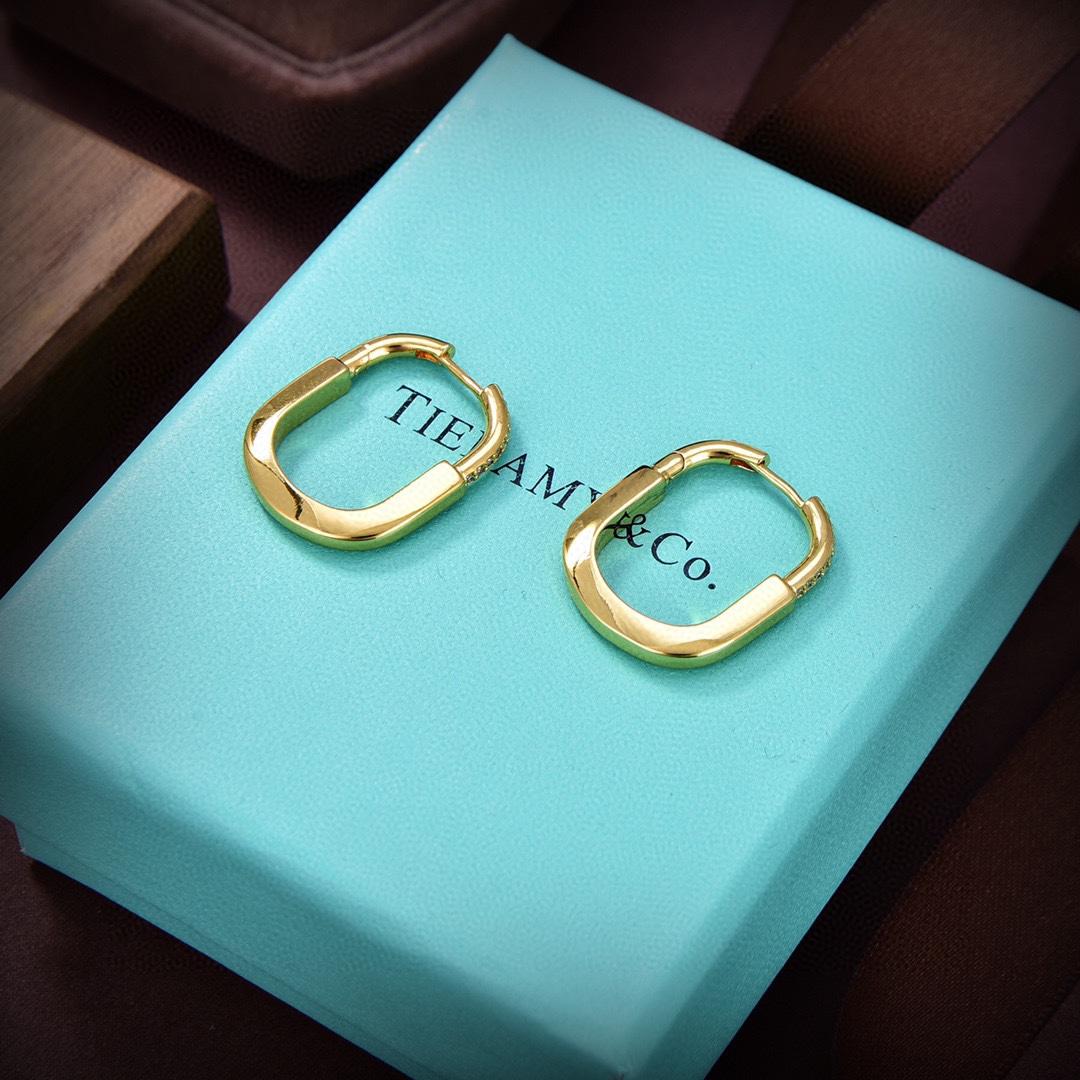 Tiffany&CO Earrings - everydesigner