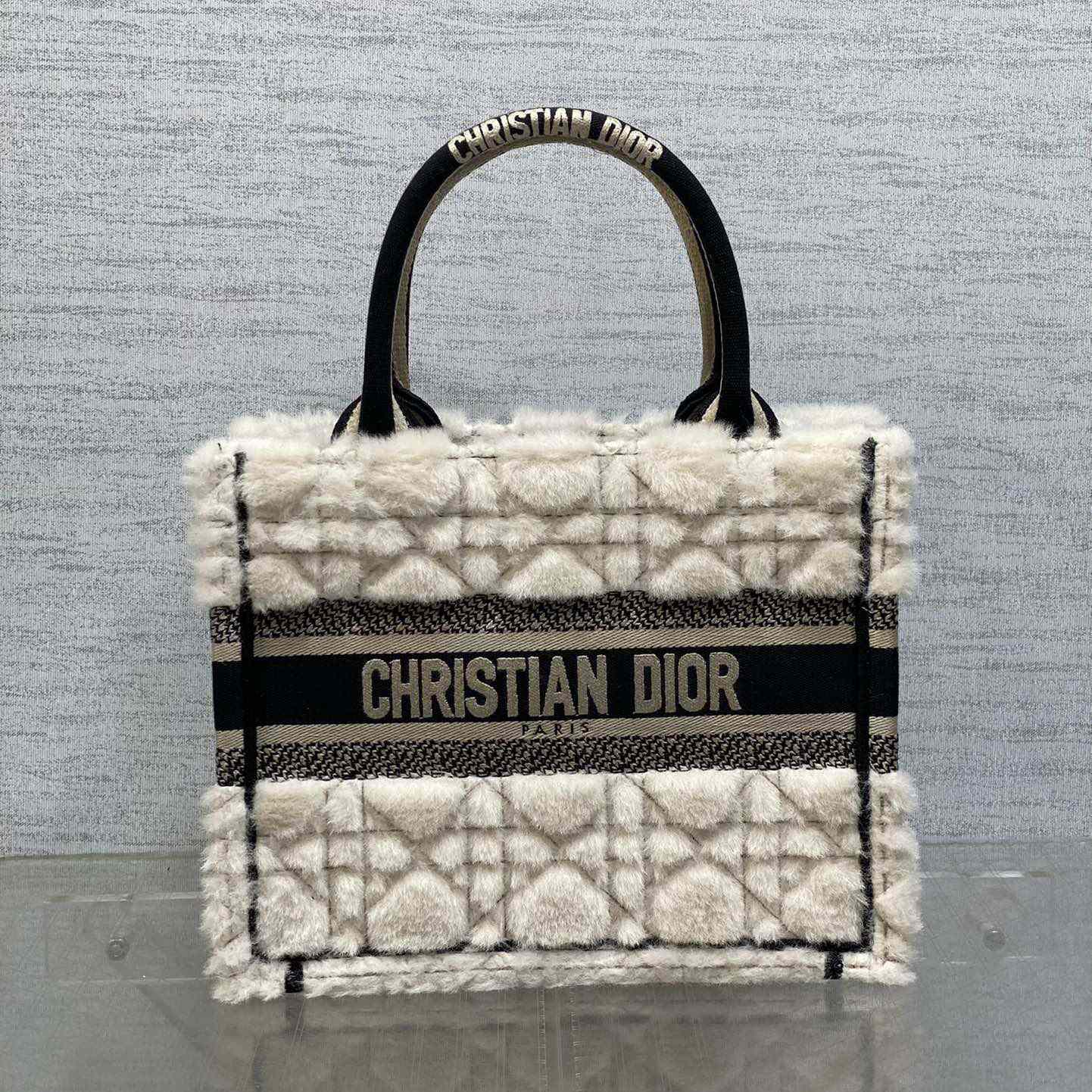 Dior Small Dior Book Tote - everydesigner