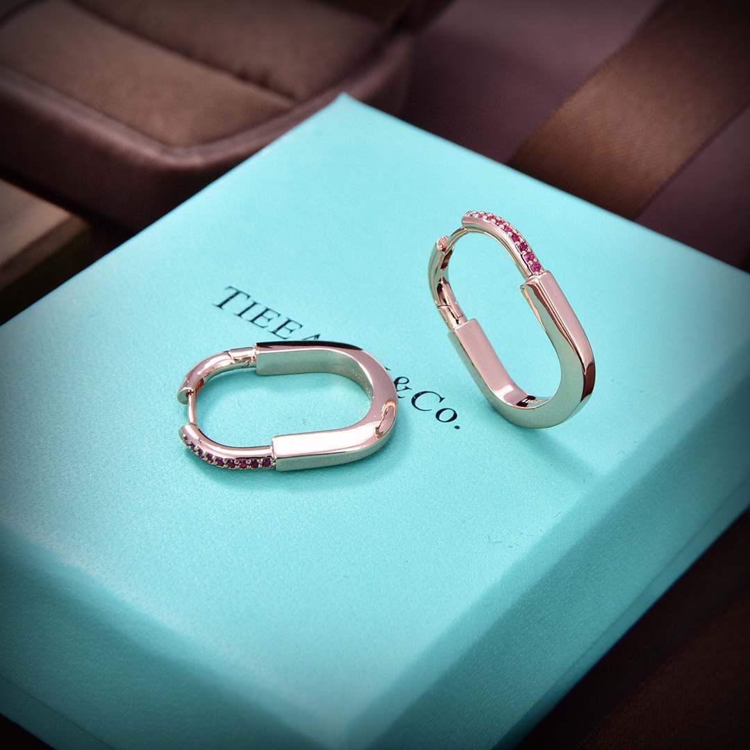 Tiffany&CO Earrings - everydesigner