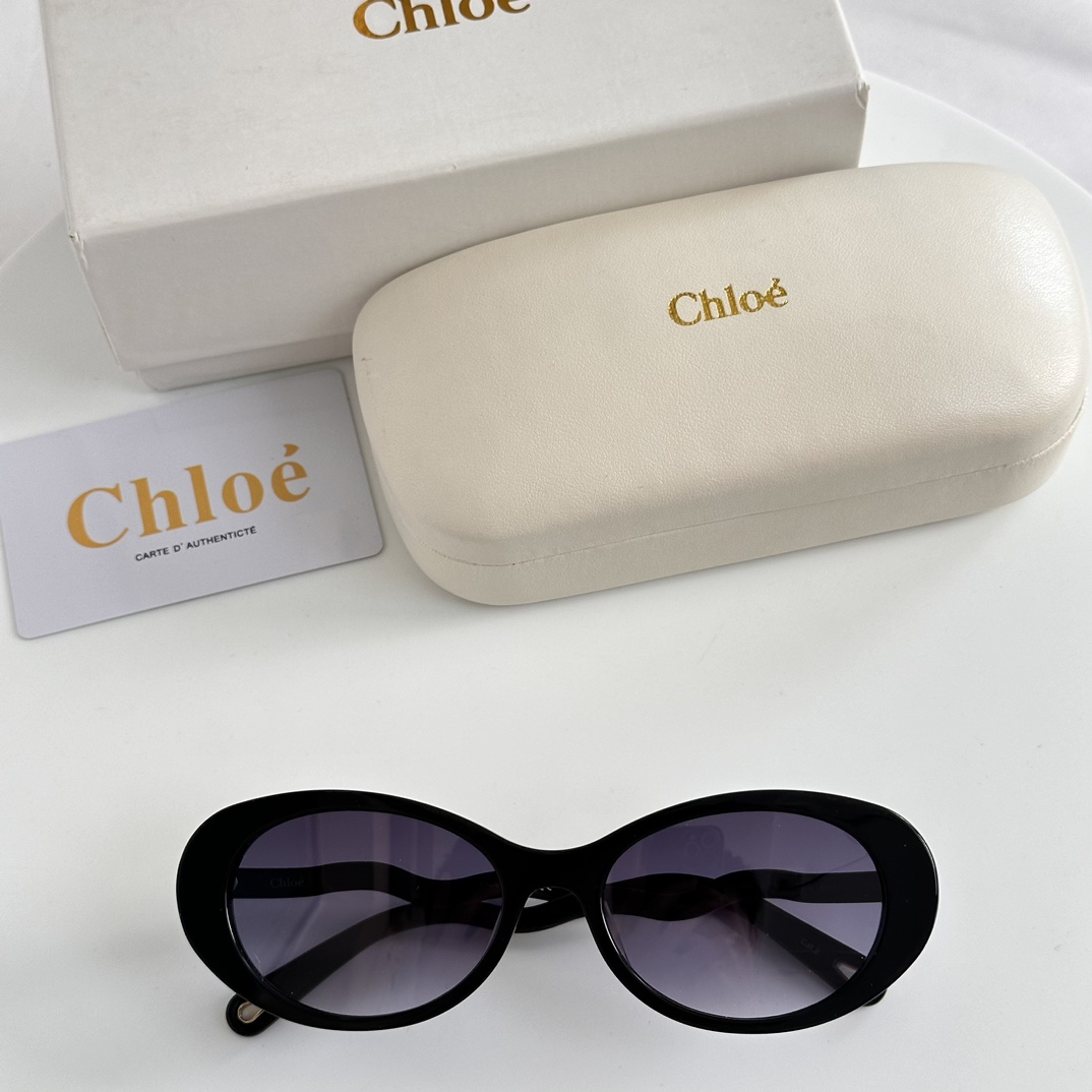 Chloe Eyewear Oval Frame Sunglasses   CH0088S - everydesigner