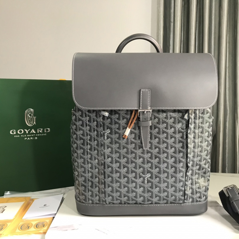 Goyard Alpin MM Backpack - everydesigner