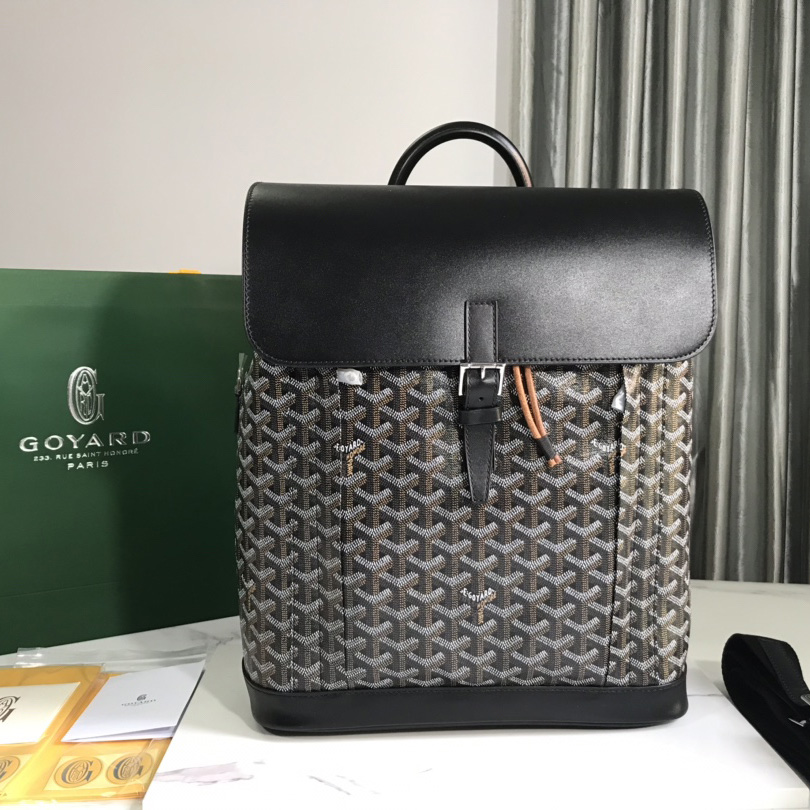 Goyard Alpin MM Backpack - everydesigner