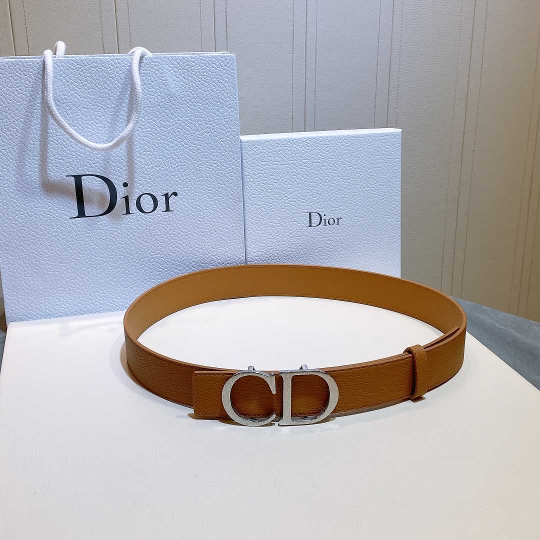 Dior Reversible Saddle Belt - everydesigner