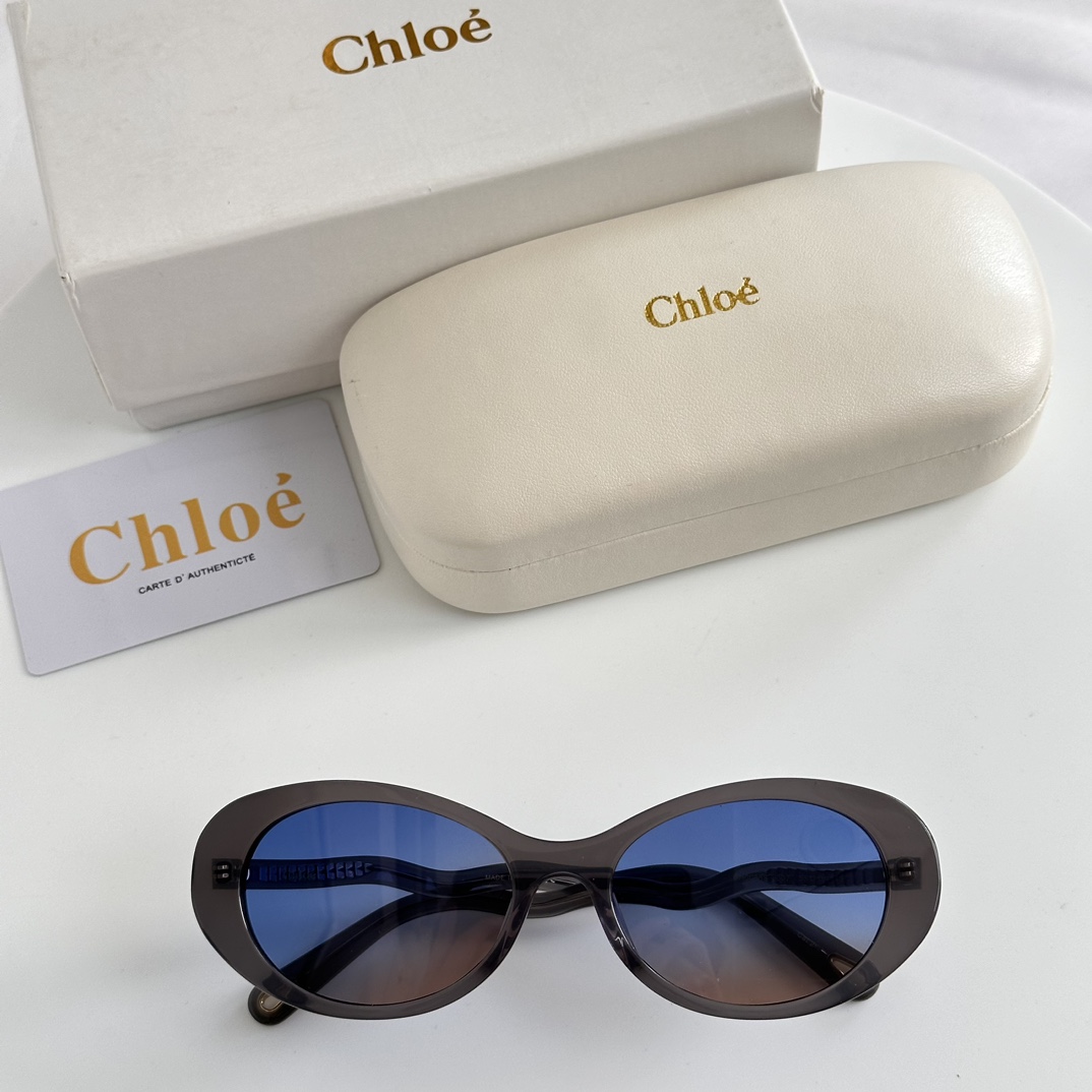 Chloe Eyewear Oval Frame Sunglasses   CH0088S - everydesigner