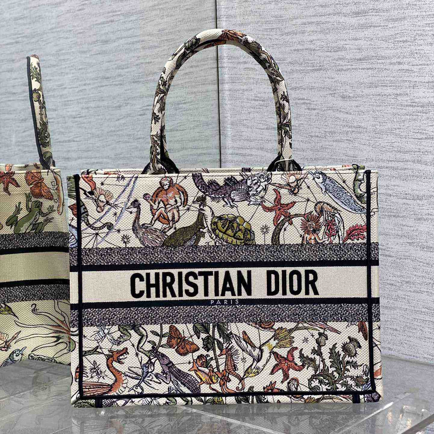 Dior Medium Dior Book Tote - everydesigner