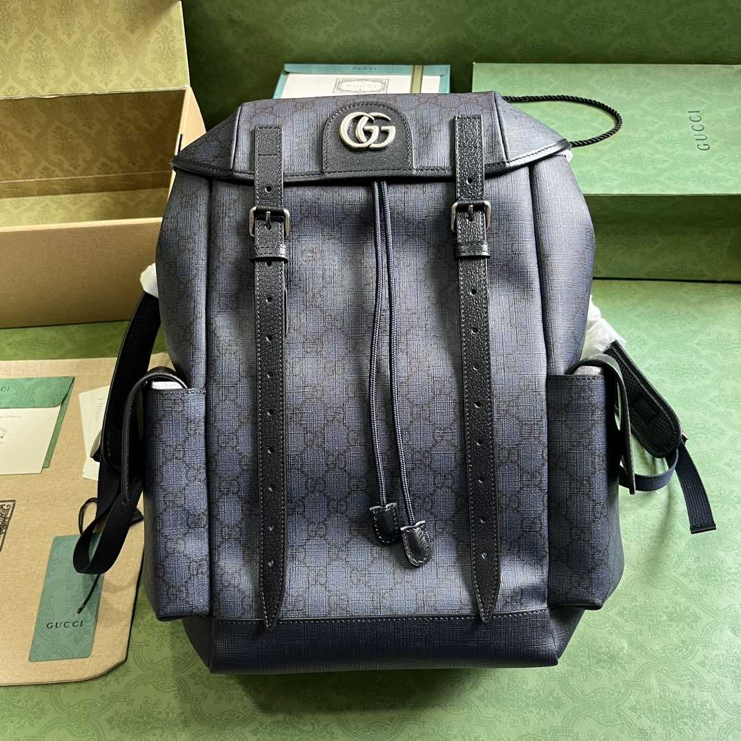 Gucci Ophidia GG Medium Backpack(24-40-16cm) - everydesigner