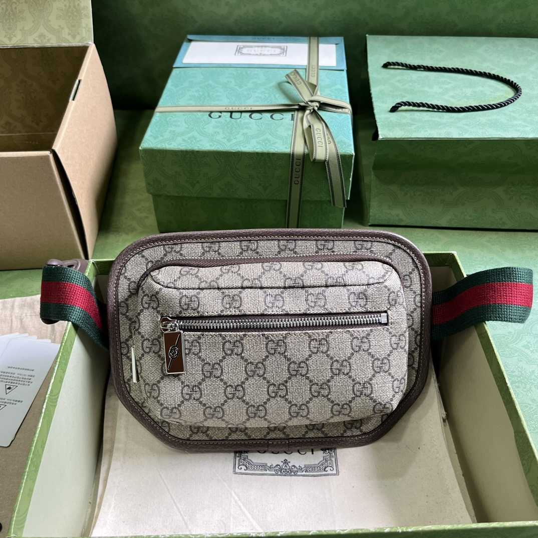 Gucci GG Belt Bag(17-27-4cm) - everydesigner