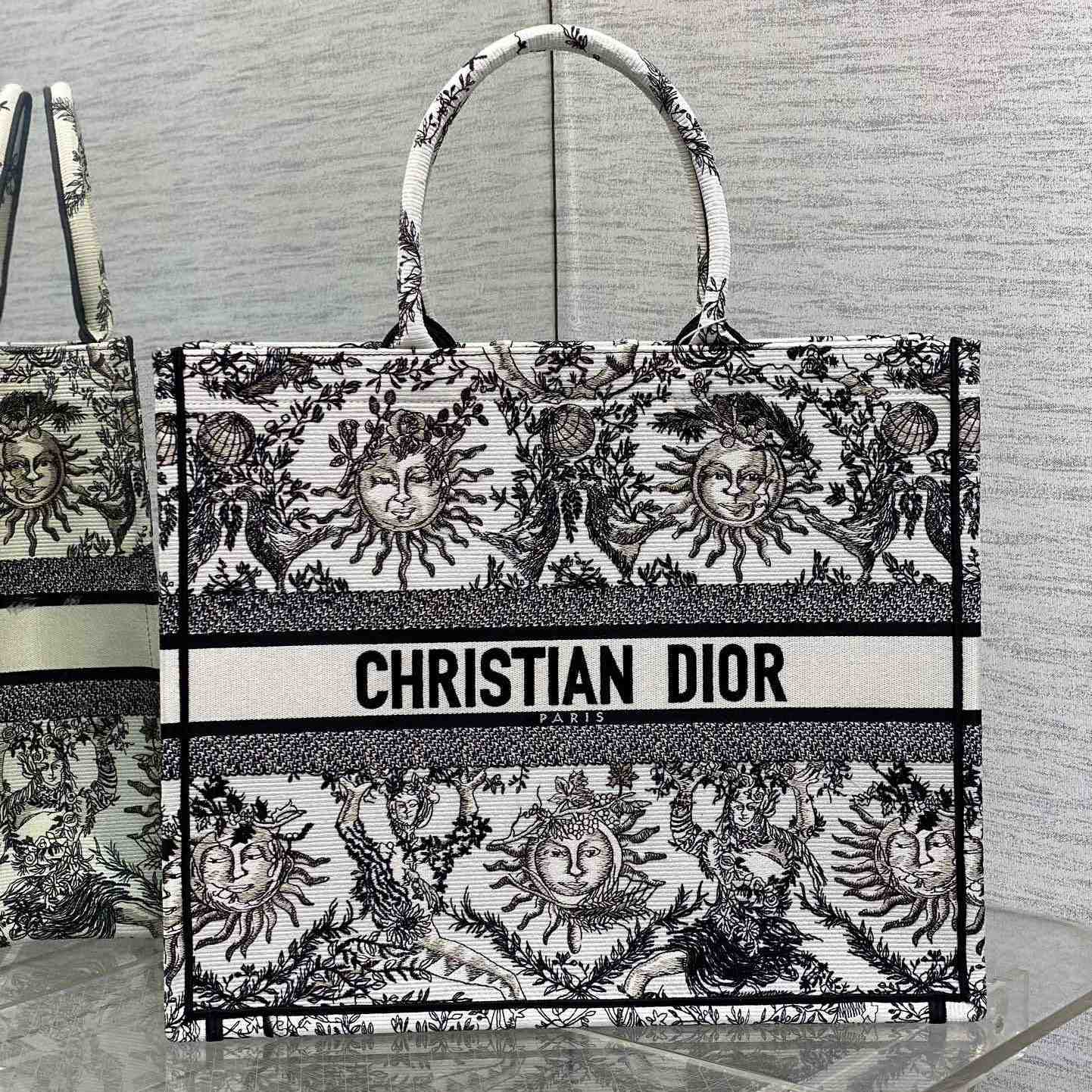 Dior Large Dior Book Tote - everydesigner