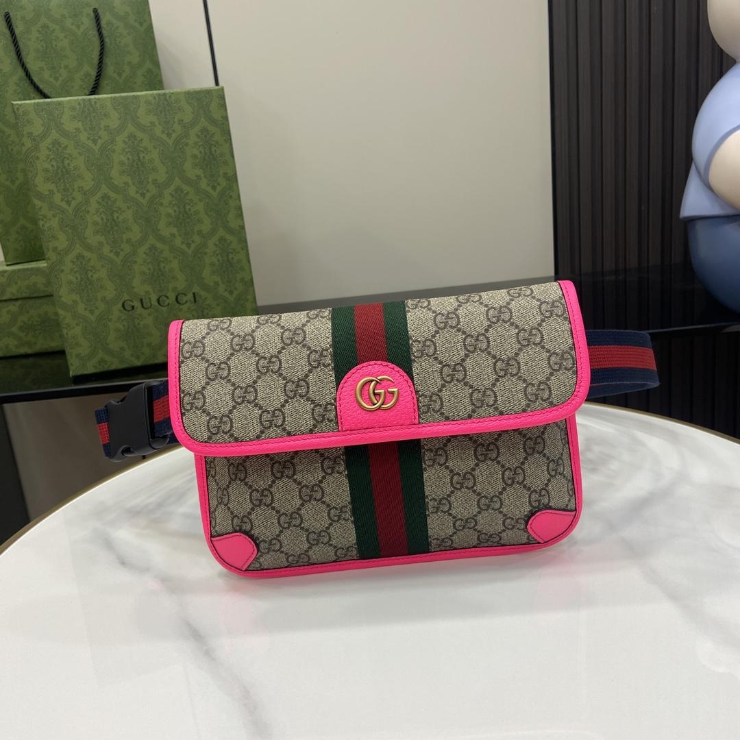 Gucci Ophidia GG Small Belt Bag  - everydesigner