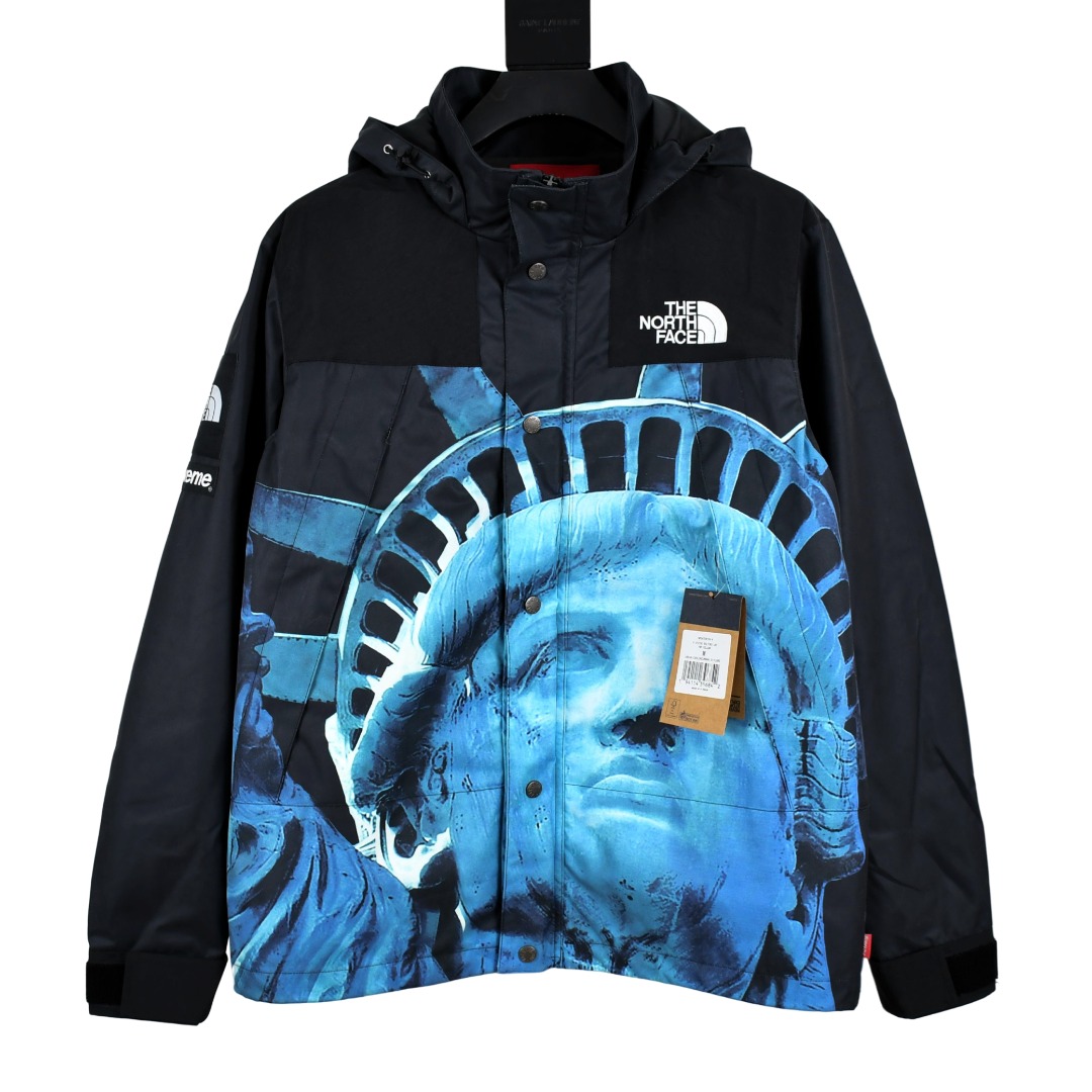 Supreme x The North Face "Statue Of Liberty" Mountain Jacket - everydesigner