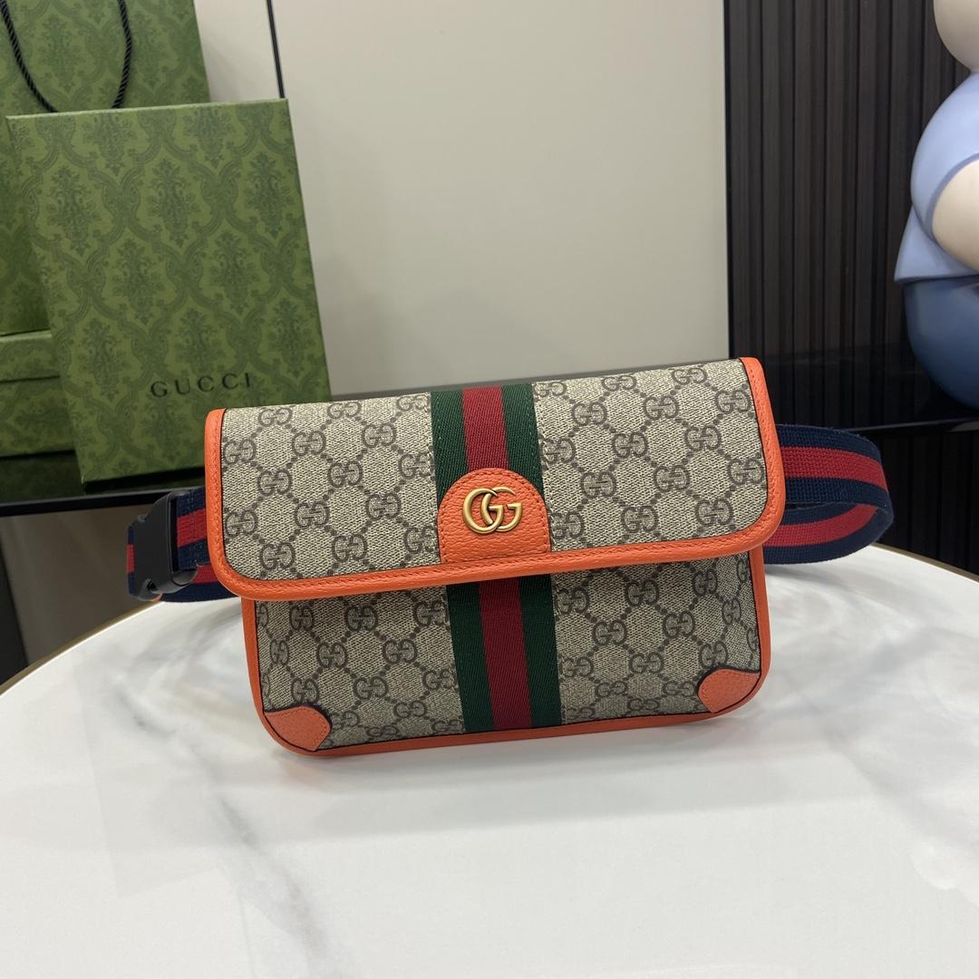 Gucci Ophidia GG Small Belt Bag  - everydesigner