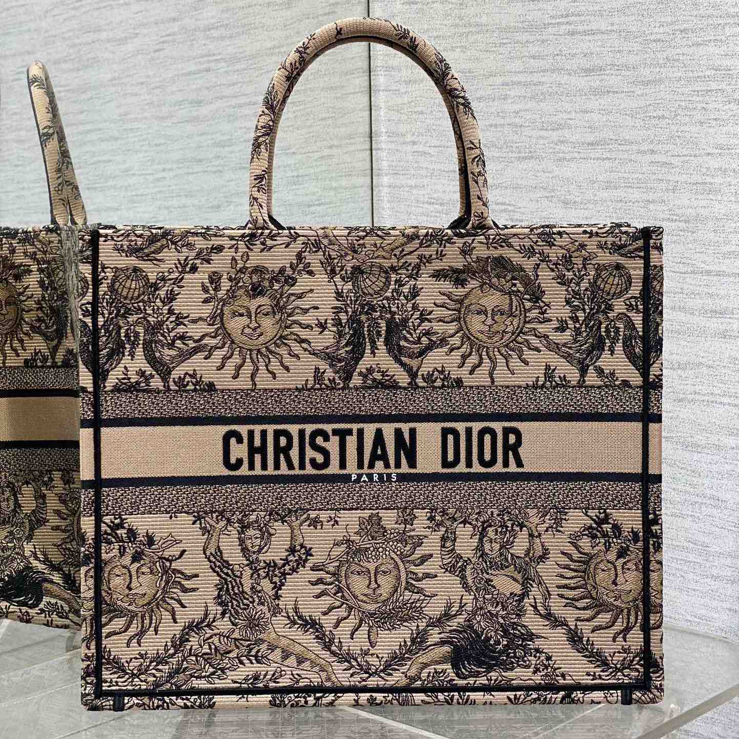 Dior Large Dior Book Tote - everydesigner