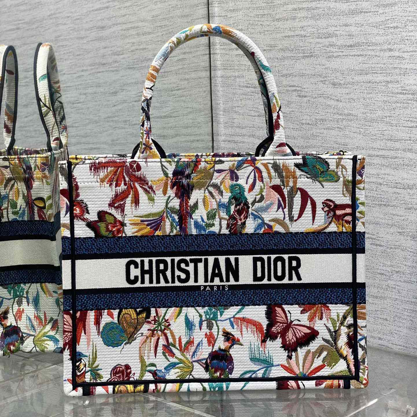 Dior Medium Dior Book Tote - everydesigner