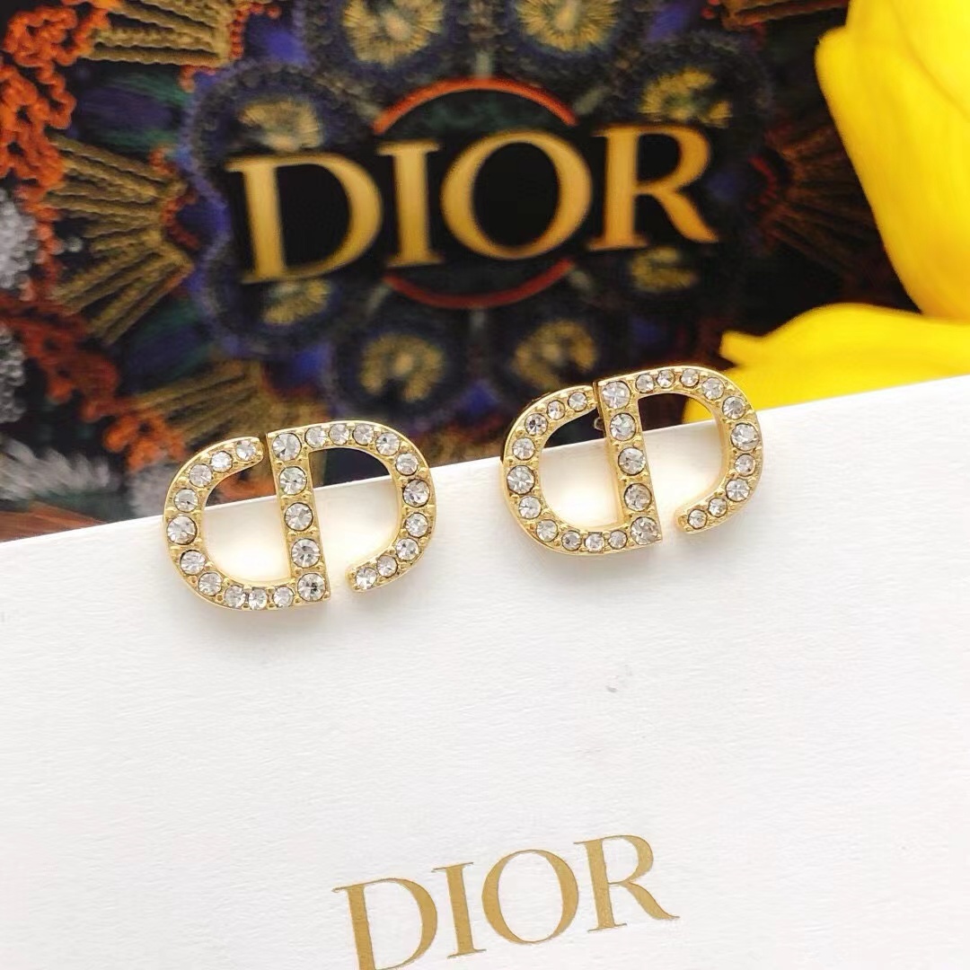 Dior Earrings - everydesigner