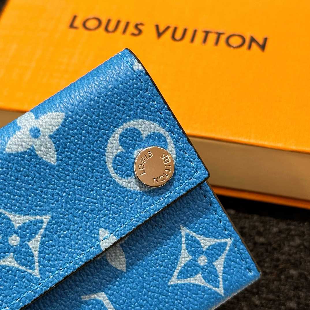 Louis Vuitton Card Holder Necklace  M83154 - everydesigner