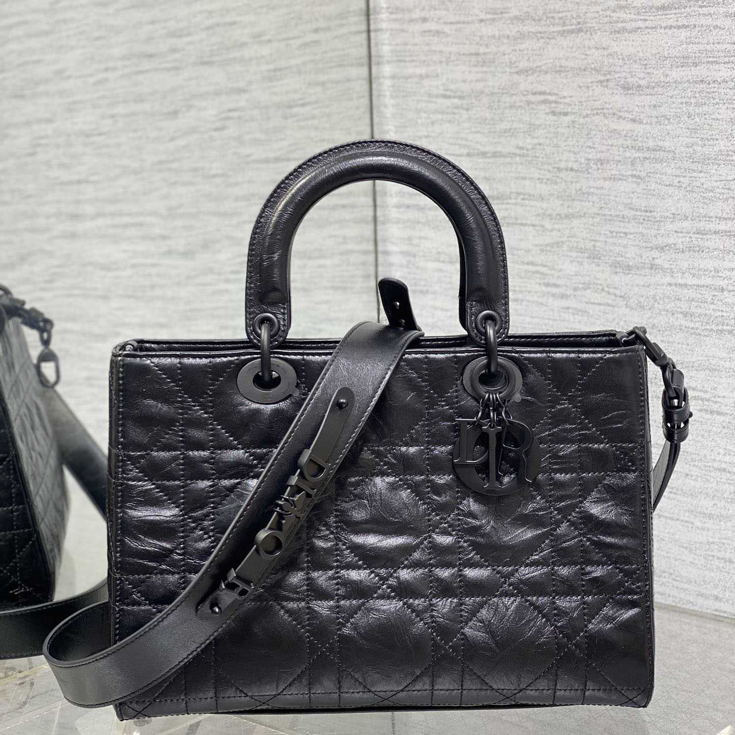 Dior Medium Lady D-Sire My ABCDior Bag  - everydesigner