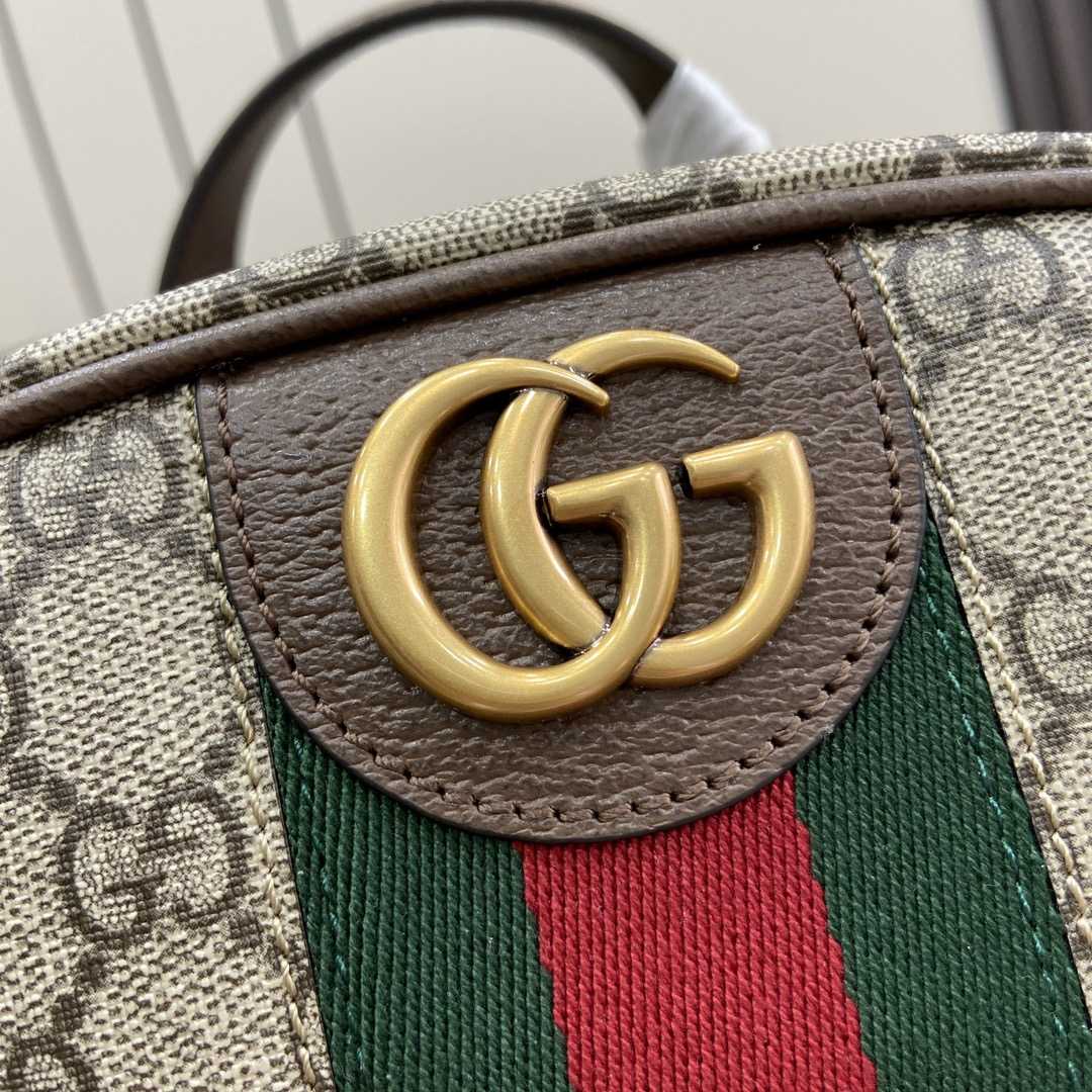 Gucci Ophidia GG Backpack - everydesigner