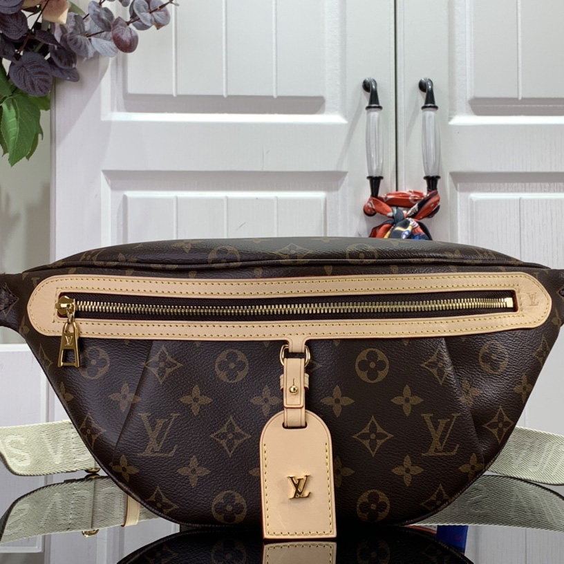 Louis Vuitton High Rise  M46784 - everydesigner