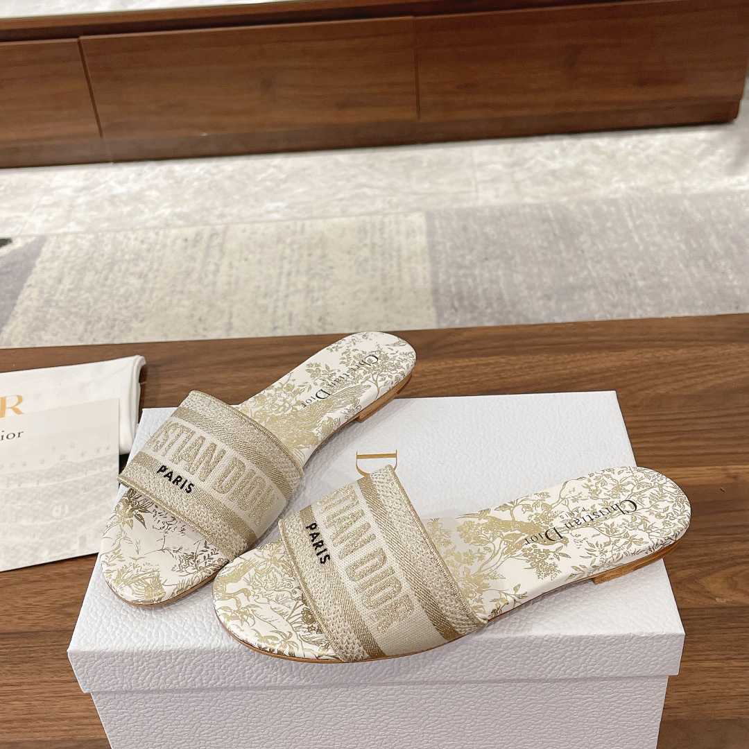 Dior Dway Slide - everydesigner