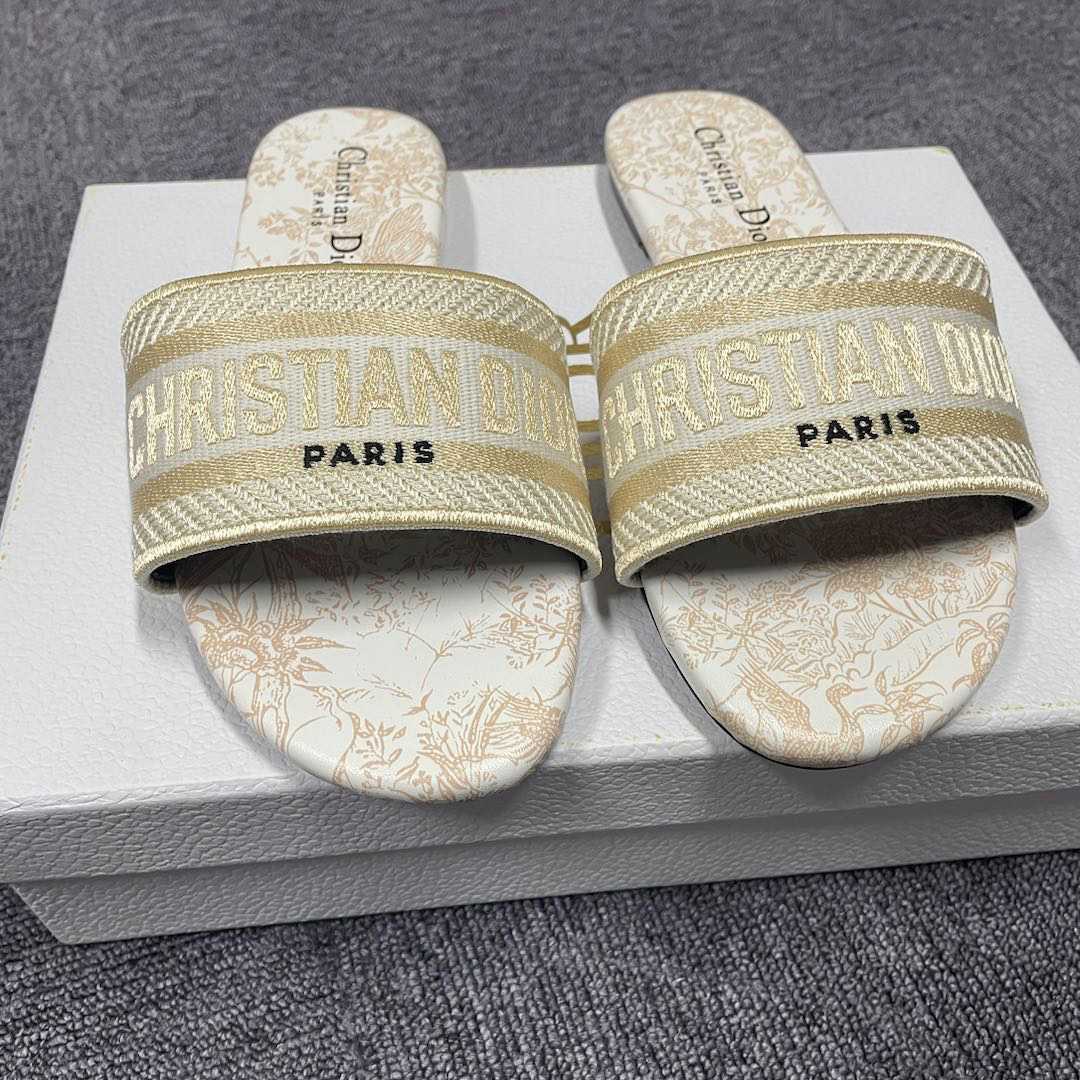 Dior Dway Slide - everydesigner