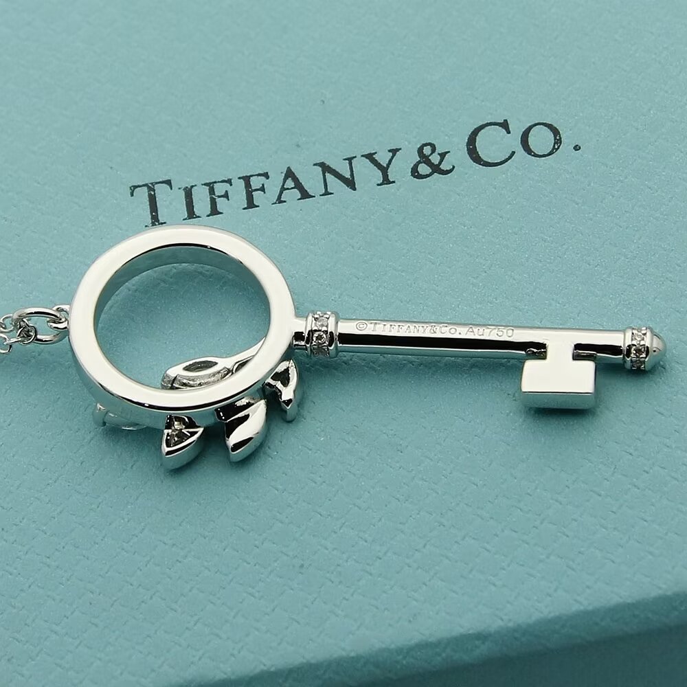 Tiffany & Co.  Diamond Vine Circle Key In Platinum - everydesigner