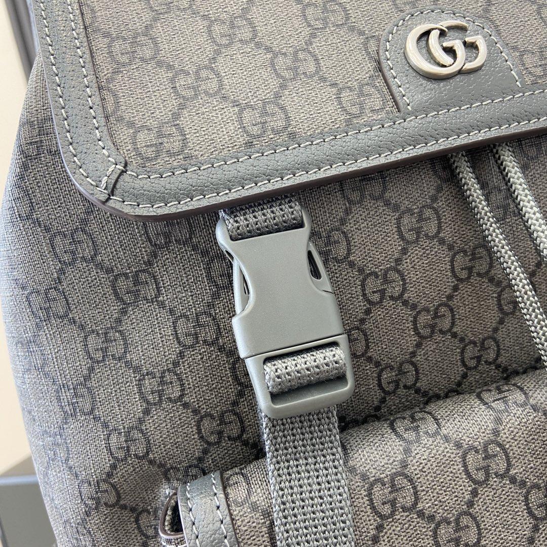 Gucci Ophidia Large GG Backpack - everydesigner