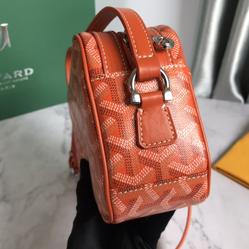 Goyard Cap-Vert PM Bag - everydesigner