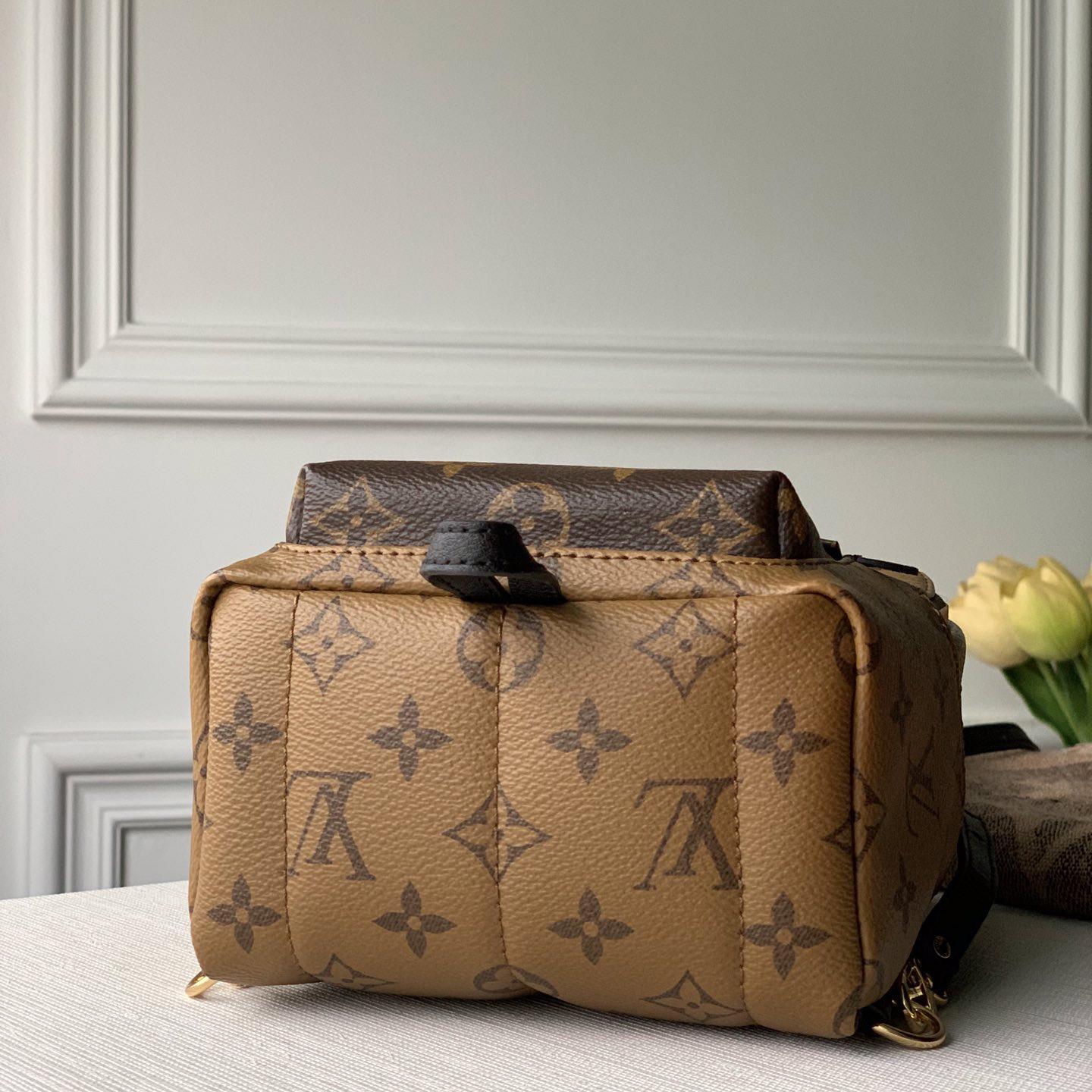 Louis Vuitton  Backpack   (17x22x10cm)  M44872 - everydesigner