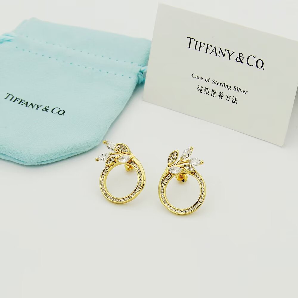 Tiffany & Co. Diamond Vine Circle Earrings In Platinum - everydesigner