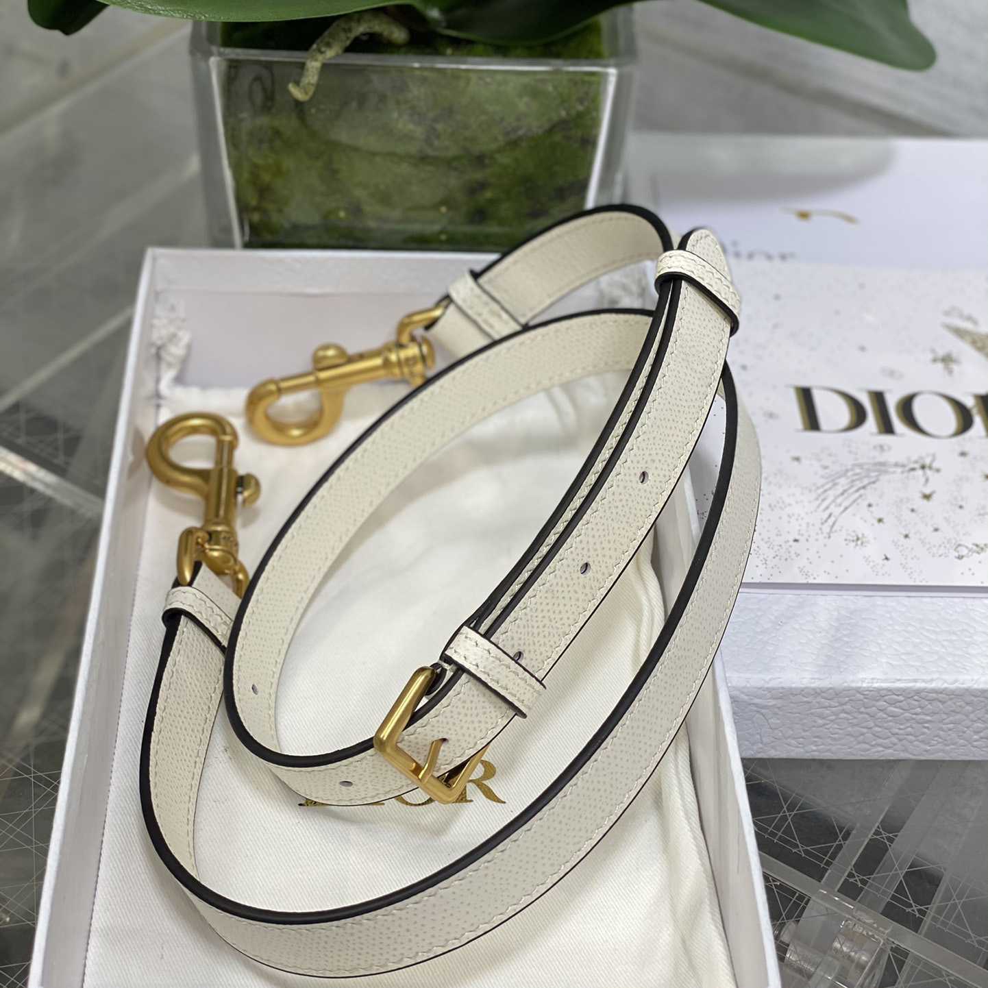 Dior Saddle Bag (24×6×18cm) - everydesigner