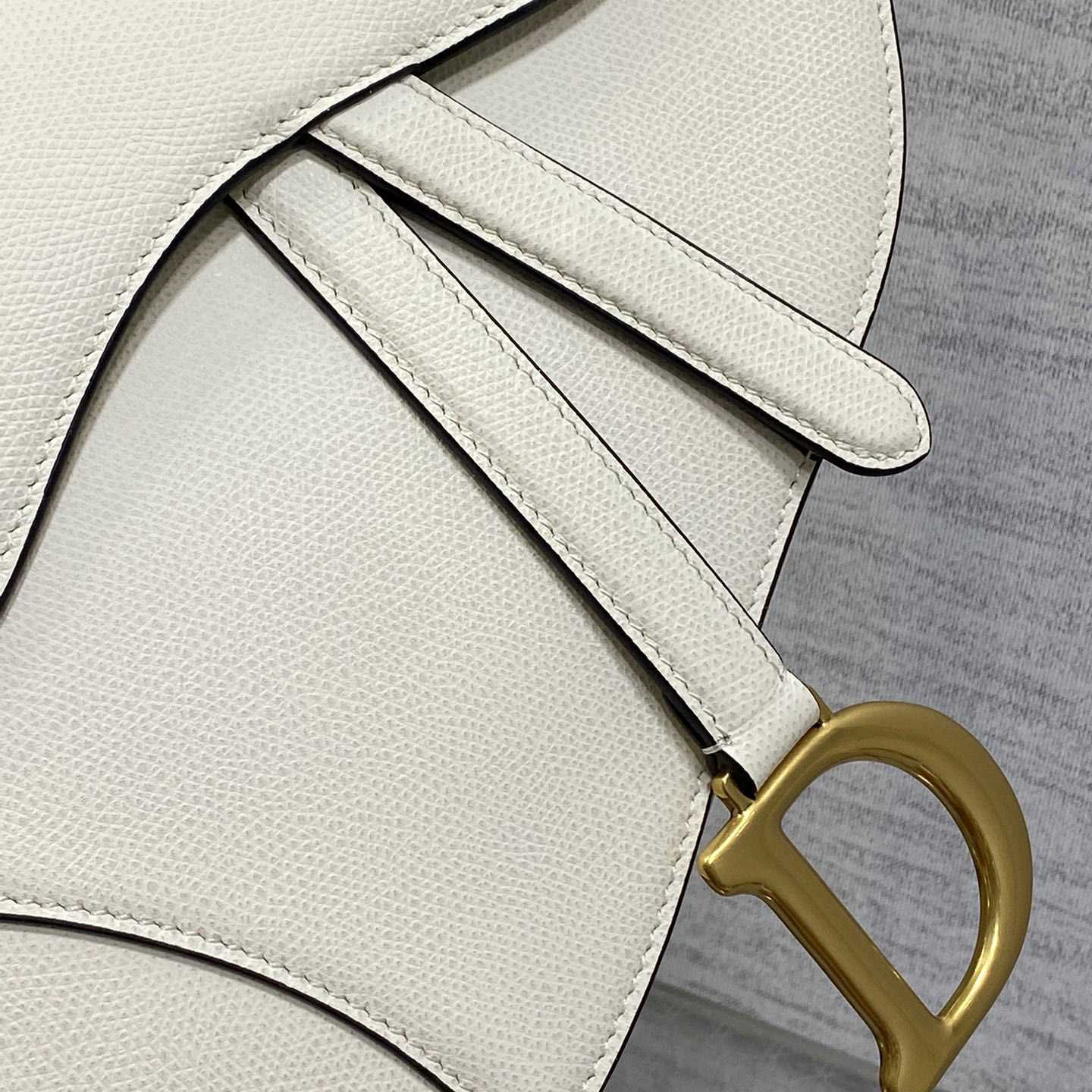 Dior Saddle Bag (24×6×18cm) - everydesigner