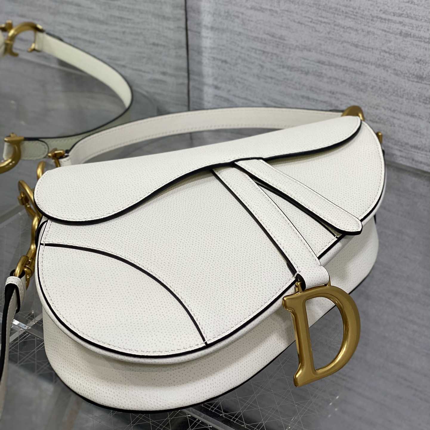 Dior Saddle Bag (24×6×18cm) - everydesigner