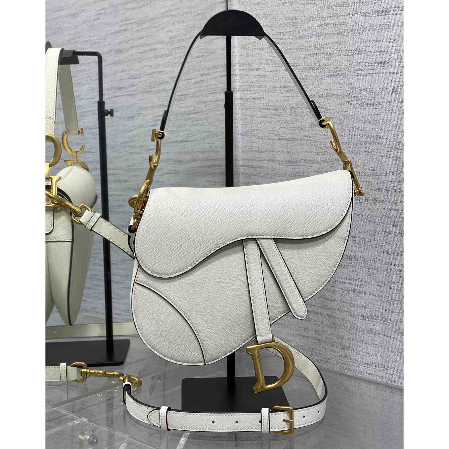 Dior Saddle Bag (24×6×18cm) - everydesigner