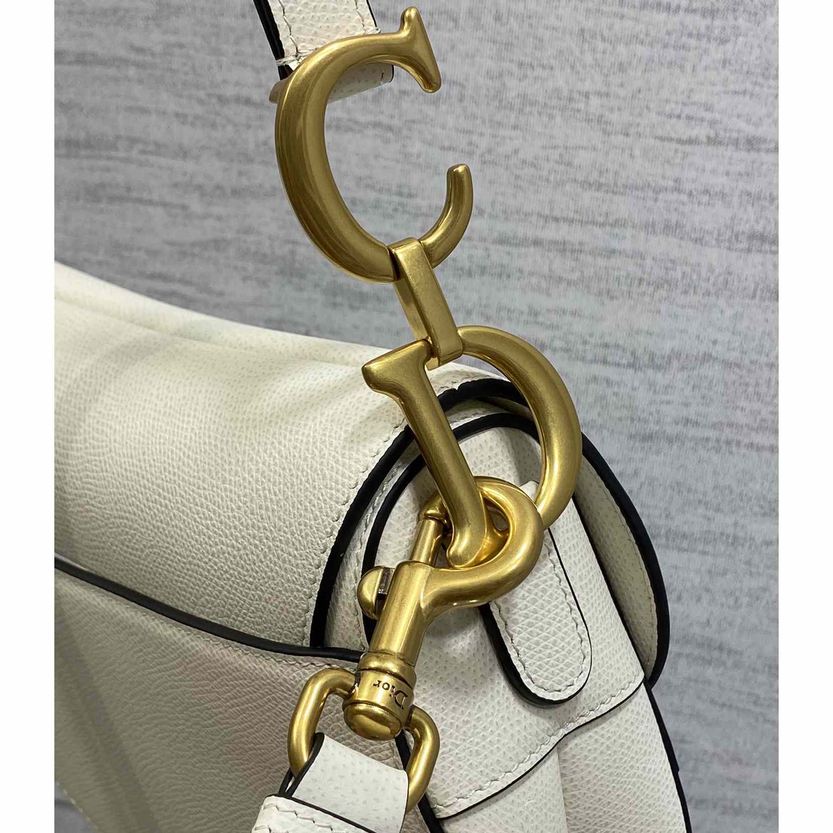 Dior Saddle Bag (24×6×18cm) - everydesigner