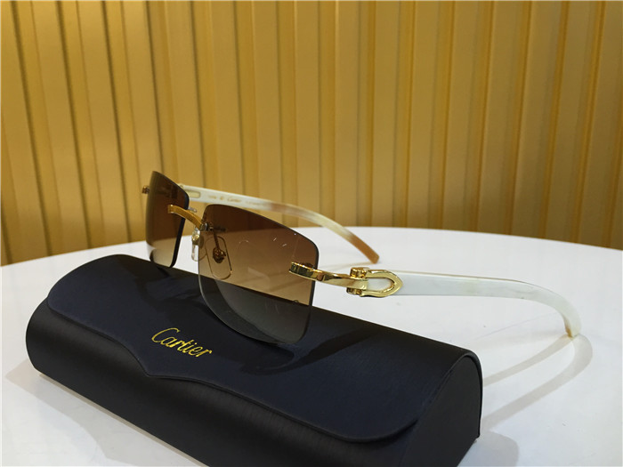 Cartier 3524012 White Buffalo Eyeglasses In Gold - everydesigner